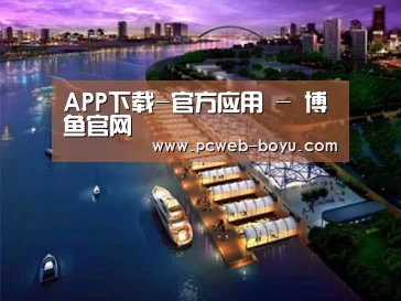 案例展示八