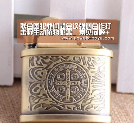 博鱼体育帮助中心 