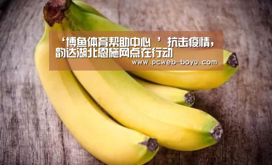 博鱼体育帮助中心 