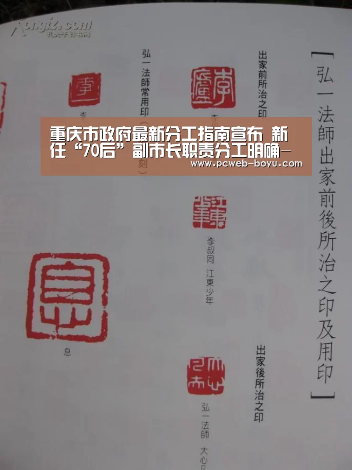 重庆市政府最新分工指南宣布 新任“70后”副市长职责分工明确- 常见问题+官方客服支持(图2) 常见问题+官方客服支持
