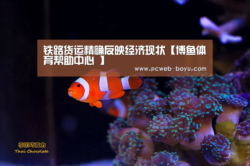 博鱼体育帮助中心 